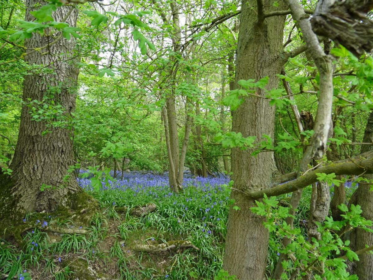 Oakwrights Apartment Terling Bagian luar foto